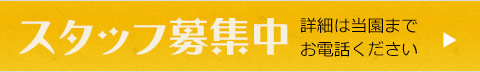 スタッフ募集